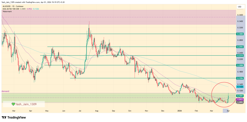 O preço do ALGO sobe 30% durante o dia, mas é apenas ruído?