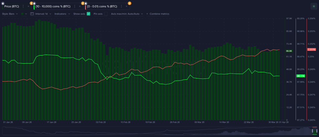 Crypto Market março de 2026: Guerra, baleias e chicotadas definem o mês