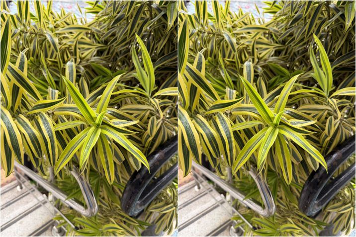 iPhone 17 Pro x Motorola Signature - C&acirc;mera principal