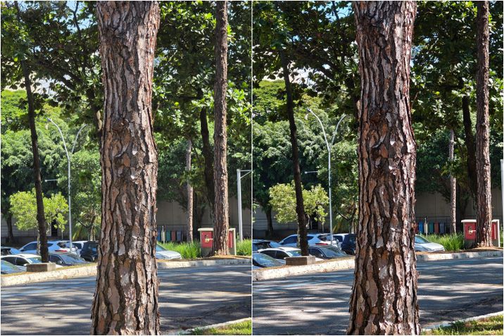 C&acirc;mera principal