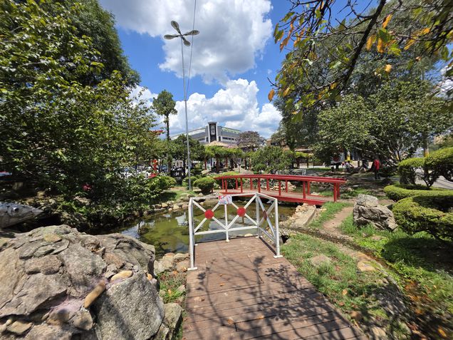 C&acirc;mera ultrawide - Galaxy S25 Ultra