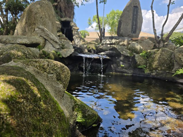 C&acirc;mera principal - Galaxy S25 Ultra