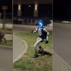 Robô humanoide bota javalis selvagens para correr; assista vídeo
