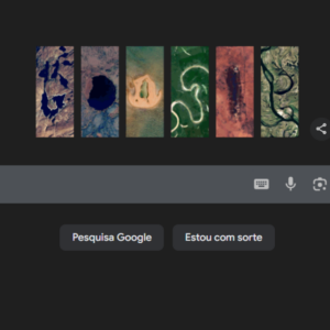 Doodle do Google: de onde são os locais usados para celebrar o Dia da Terra?
