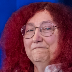 Quem foi Rebecca Heineman? Conheça mulher lenda da programação de jogos