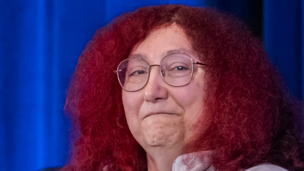 Quem foi Rebecca Heineman? Conheça mulher lenda da programação de jogos