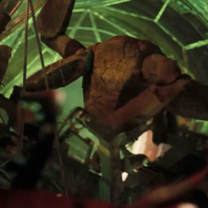 Em homenagem a Rocky do “Projeto Hail Mary”, celebramos 17 alienígenas da ficção científica que não se parecem em nada com humanos