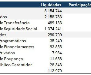Fundos realmente públicos no Brasil