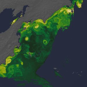 Novas visualizações da Terra pela NASA, do (S)PACE