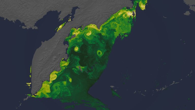 Novas visualizações da Terra pela NASA, do (S)PACE