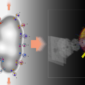 O Large Hadron Collider oferece aos cientistas a melhor visão das condições logo após o Big Bang