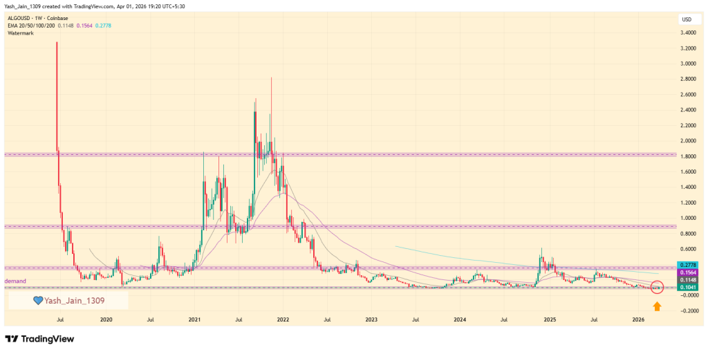 O preço do ALGO sobe 30% durante o dia, mas é apenas ruído?