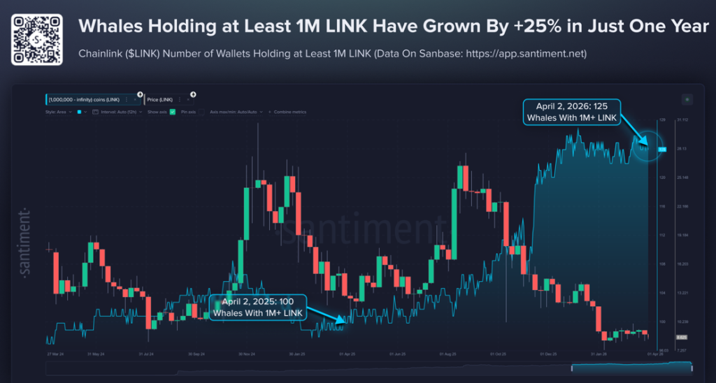 O preço do Chainlink estagna à medida que a acumulação de baleias ganha impulso silenciosamente