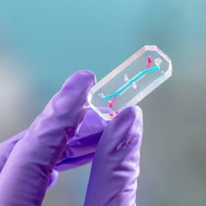 O que os cientistas esperam aprender com o sobrevôo histórico da lua Artemis 2 da NASA?