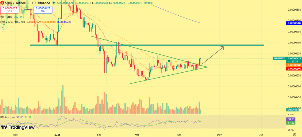 Previsão de preço SHIB