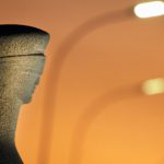 Processos estruturais e o novo papel da Advocacia Pública