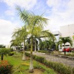 Quem são os pré-candidatos ao governo do Amazonas (AM) nas eleições 2026