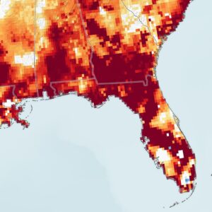Seca Parches Florida - NASA Science