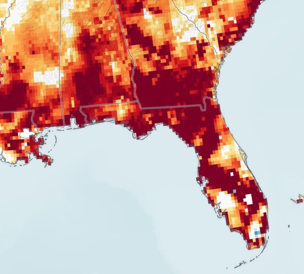 Seca Parches Florida - NASA Science