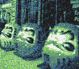 Game Boy Camera