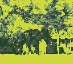 Game Boy Camera