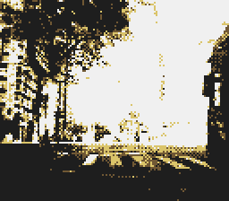 Game Boy Camera