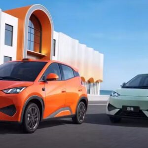 Dolphin Mini 2026 ganha item de segurança de carros premium