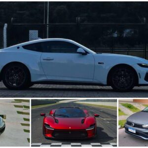 Volkswagen Polo, Porsche 911, Ferrari Daytona: como nascem os nomes dos carros?