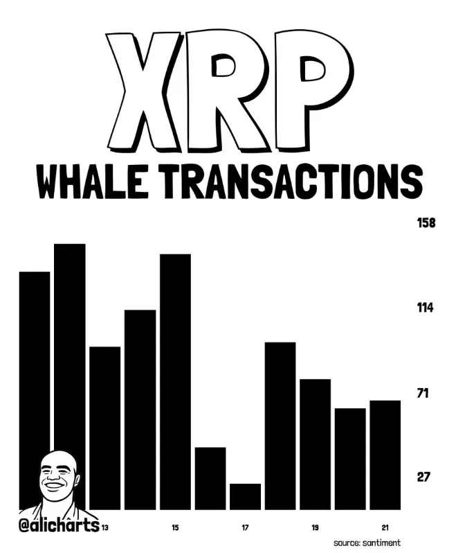 Dados de baleias XRP