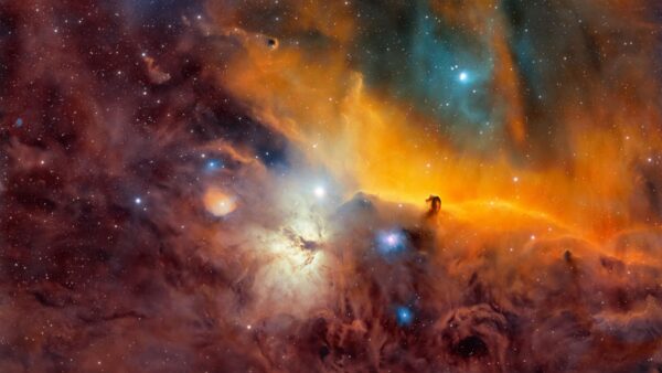 Astrofotógrafo passa 115 horas capturando a Nebulosa Cabeça de Cavalo com telescópio de quintal
