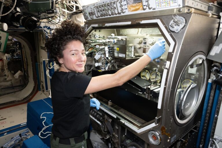 Astronautas da NASA responderão a perguntas de estudantes em Nova York
