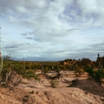 Caatinga: articulação institucional é caminho para preservar bioma 100% brasileiro