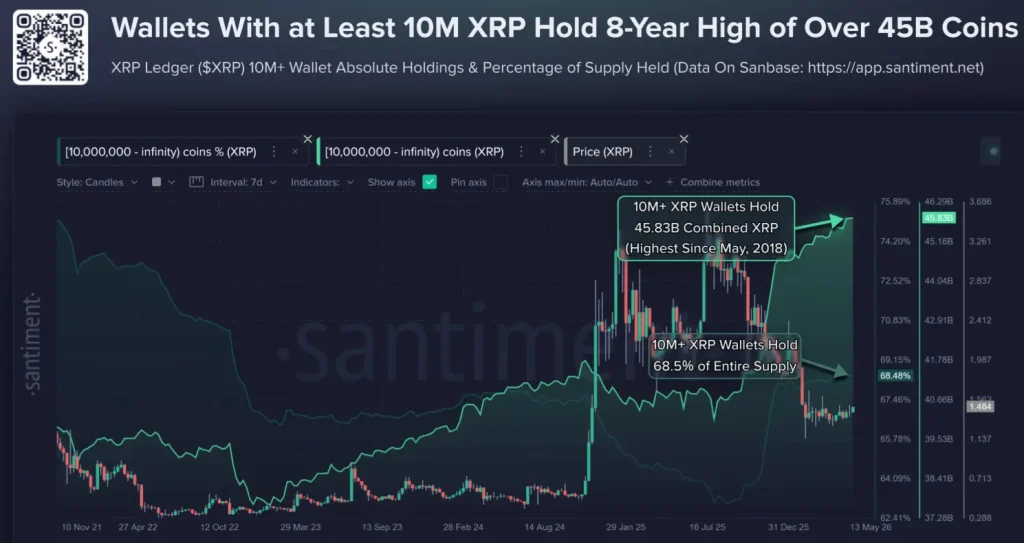 Dados de baleias XRP
