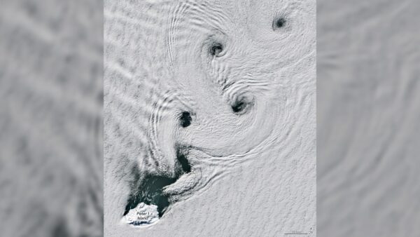 Vórtices hipnotizantes giram perto de um vulcão antártico. Foto do dia de 12 de maio de 2026