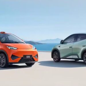 BYD faz queima e vende Dolphin Mini a preço de Tera manual