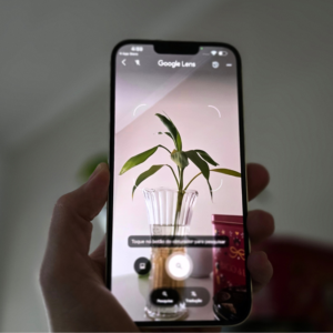 7 dicas para usar o Google Lens e resolver tarefas do dia a dia