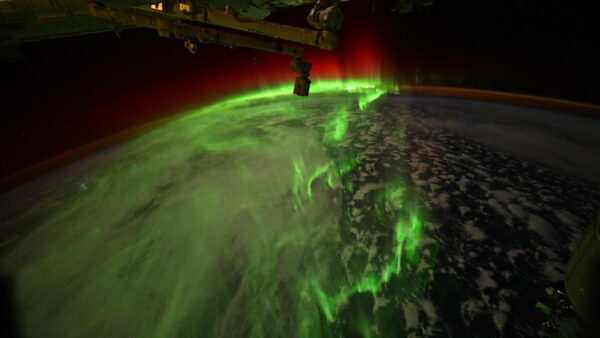 Astronauta captura auroras semelhantes a cobras em uma foto do dia do SpaceX Dragon em 9 de junho de 2026
