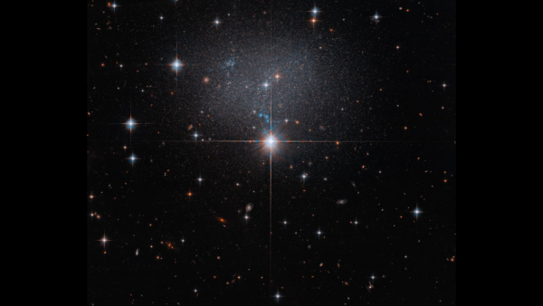 Hubble espia um enxame de estrelas em uma foto de uma galáxia estranha e irregular do dia 15 de 2026