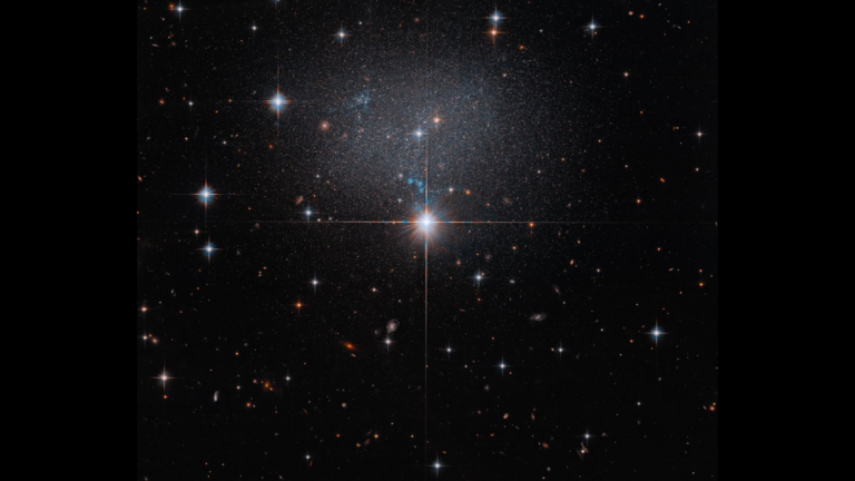 Hubble espia um enxame de estrelas em uma foto de uma galáxia estranha e irregular do dia 15 de 2026