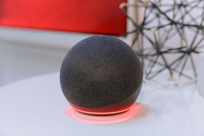 Amazon Echo Dot 5 mute