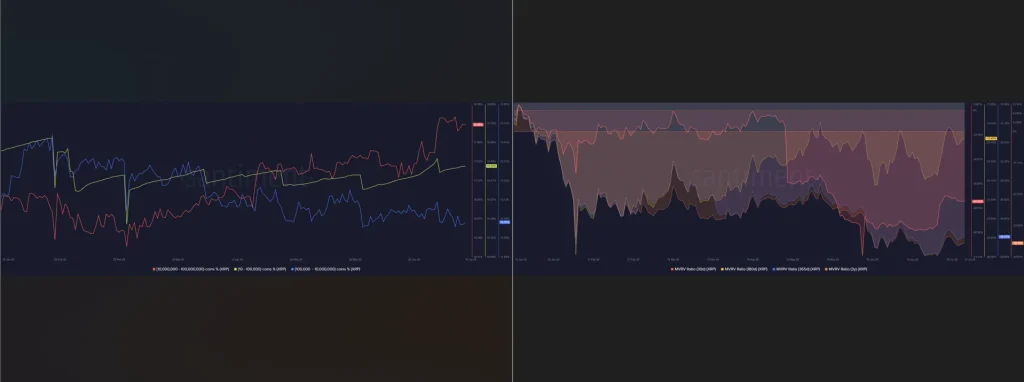 O preço do XRP se aproxima da zona de capitulação à medida que aumenta a acumulação de baleias