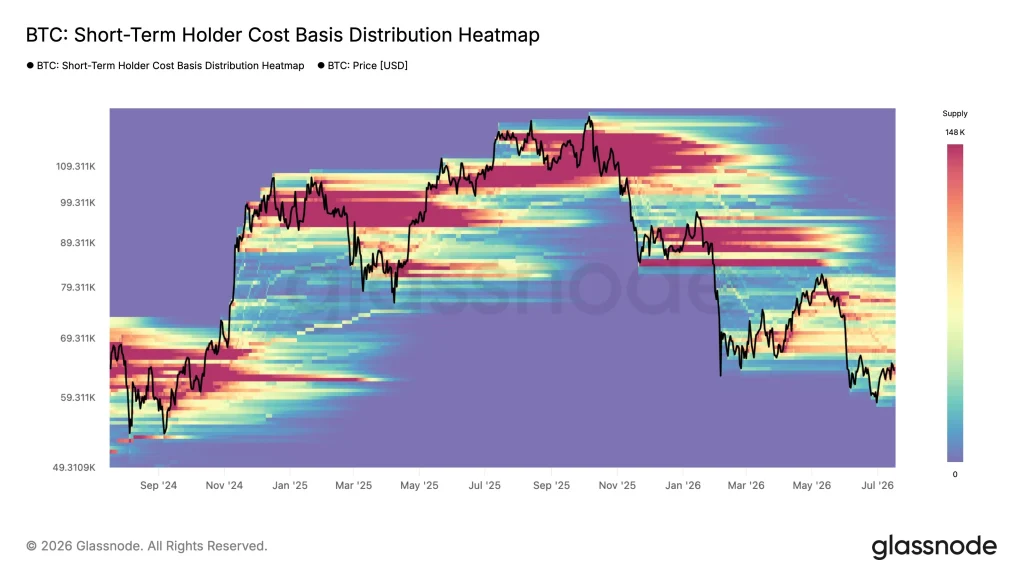 mapa de calor de distribuição de base de custo de titular de curto prazo btc