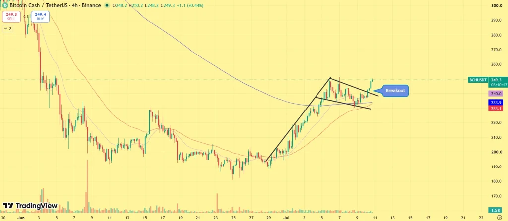 Perspectiva de preço do BCH