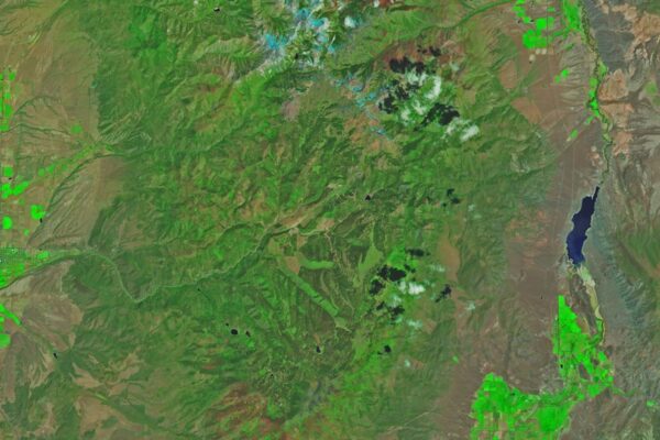 Cottonwood Fire Chars Utah - Ciência da NASA