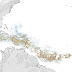 Dimensionando o Cinturão dos Sargaços - NASA Science