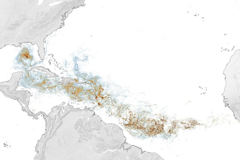 Dimensionando o Cinturão dos Sargaços - NASA Science