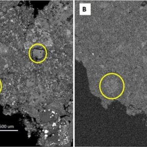 Estudo da NASA sobre meteorito intocado contribui para a história de asteróides antigos