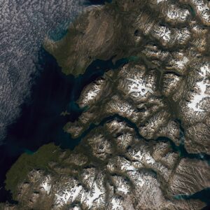 Fãs do Ártico - NASA Science