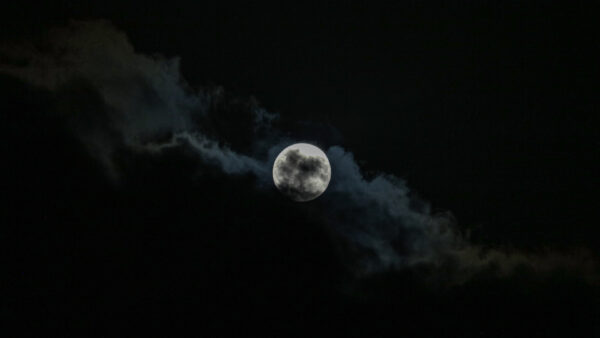 Lua cheia de julho de 2026 – Quando, onde e como ver Buck Moon