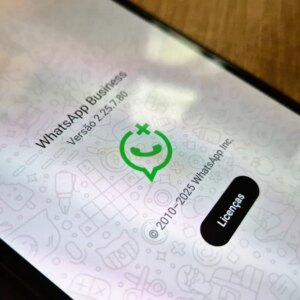 O que é a API do WhatsApp Business? Entenda como o recurso funciona